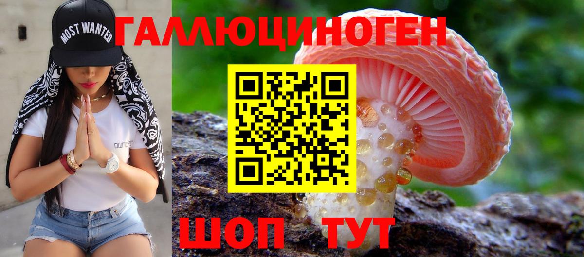 Псилоцибиновые грибы Cubensis  Вход с VPN  Нарткала 