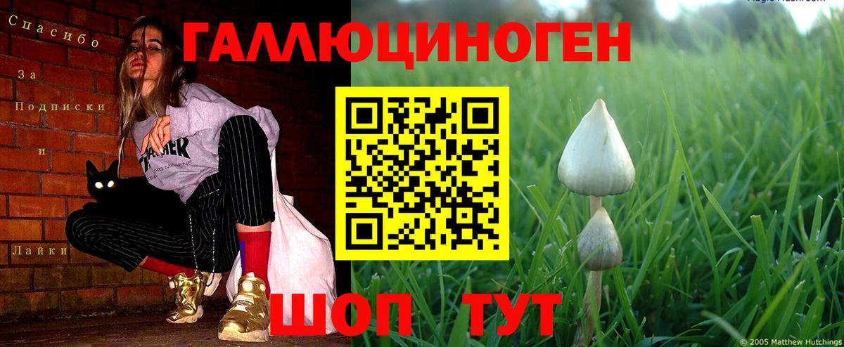 ГАШИШ Нарткала